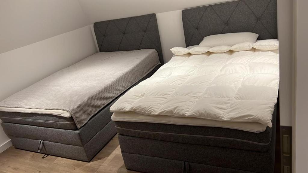 Ferienwohnung Nella パーダーボルン エクステリア 写真